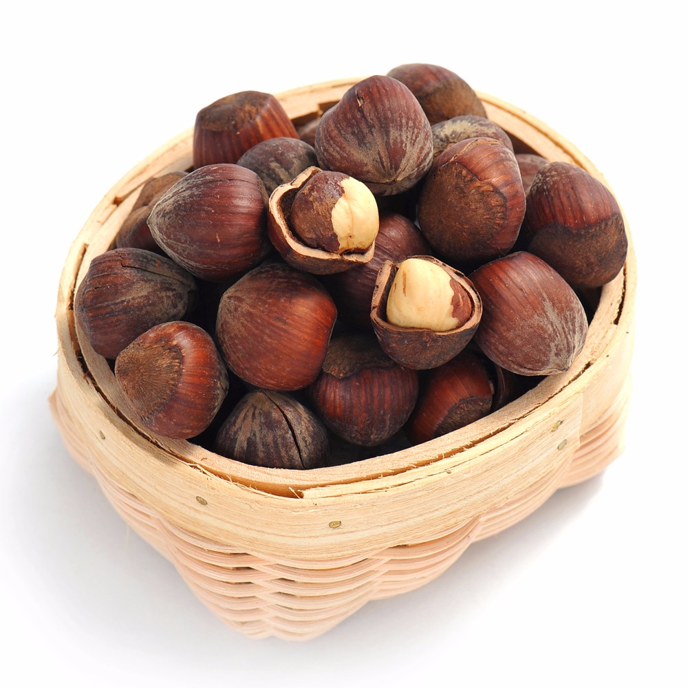 榛子树栽植需要适宜的环境