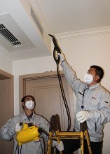 ede68f82a5a0ec09272f5aecb1930b58.jpg
