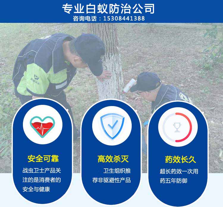长沙灭白蚁公司.jpg