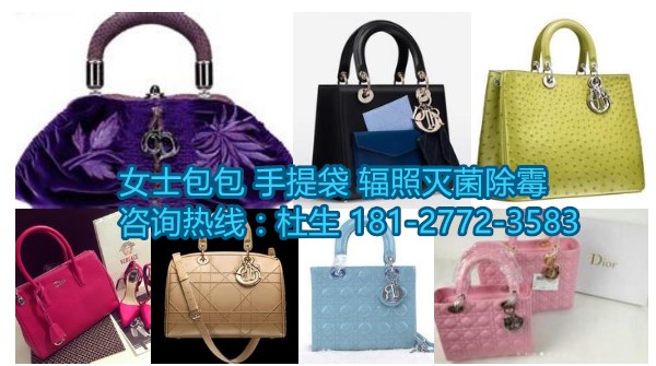 女士包包.jpg