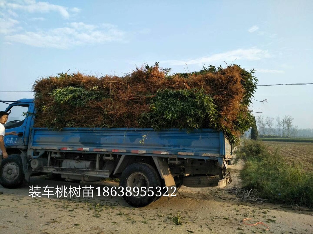 装车.jpg