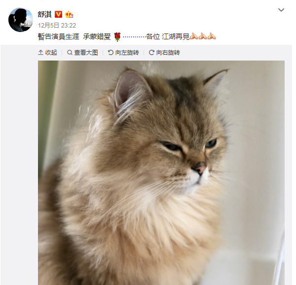 舒淇发文“暂告演员生涯”.png