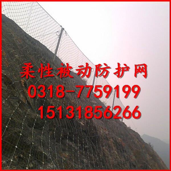 1512953963334618.jpg