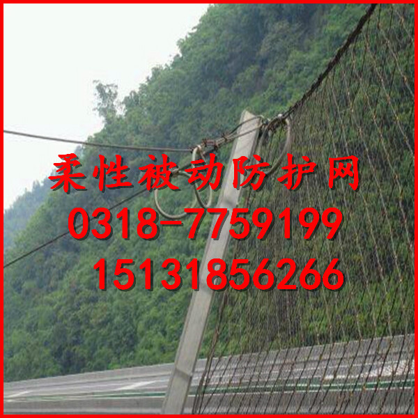1512953963429526.jpg
