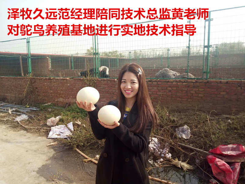 QQ图片20171021140826_副本.jpg
