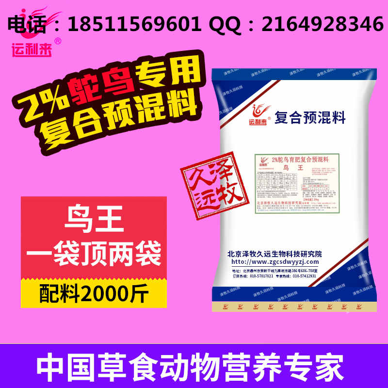 鸵鸟.jpg