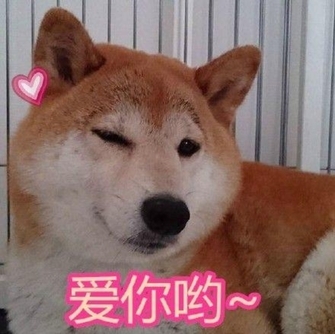 李宇春鞋为什么会被狗咬烂？