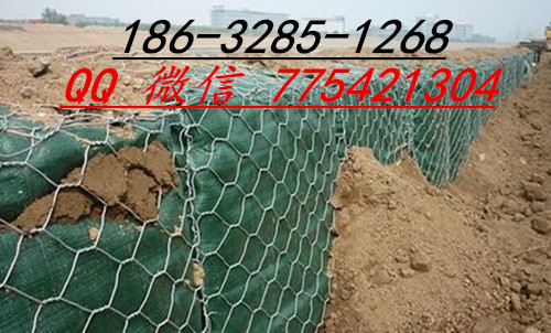 t0113155fed6080f447_副本.jpg