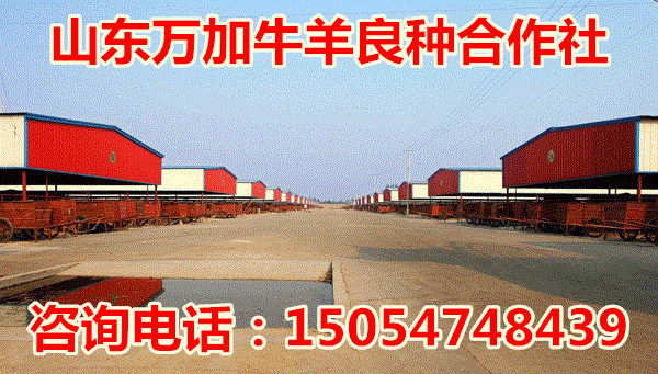 0537678610.jpg