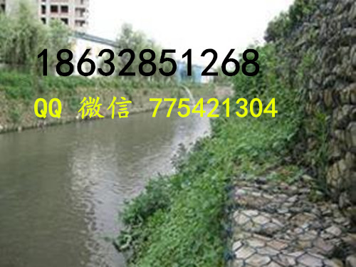 t01dbeaacf043a37f44_副本.jpg