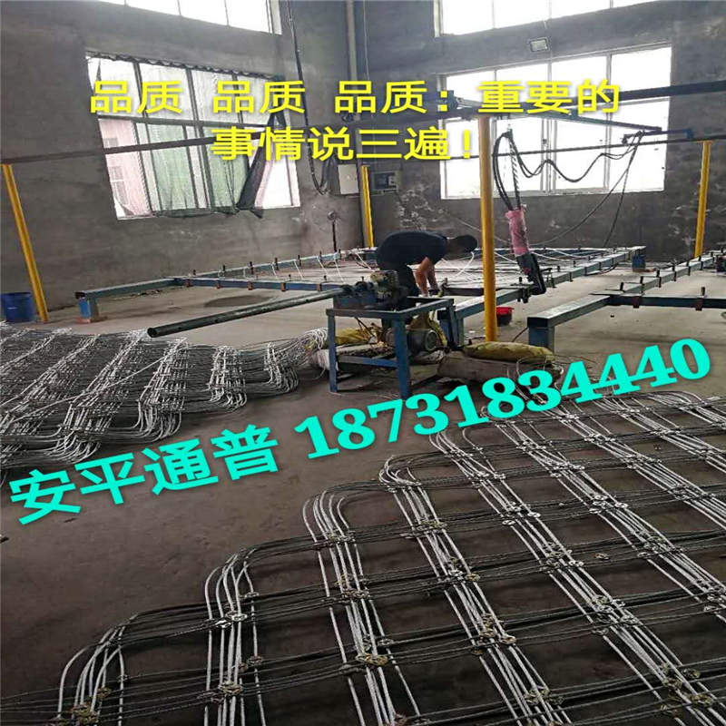 安平通普-主动防护网、主动边坡防护网厂家18731834440.jpg