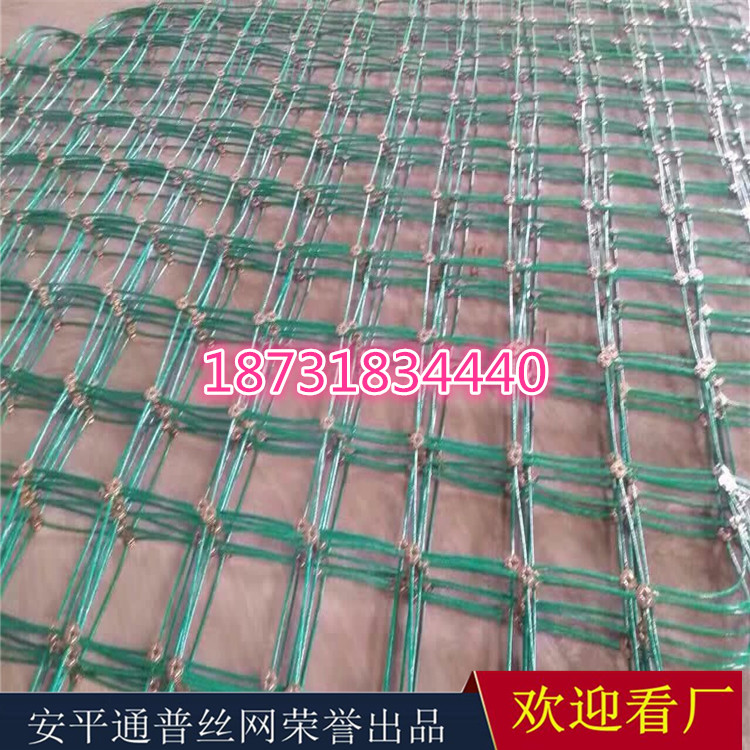 主动防护网厂家18731834440 (7).jpg