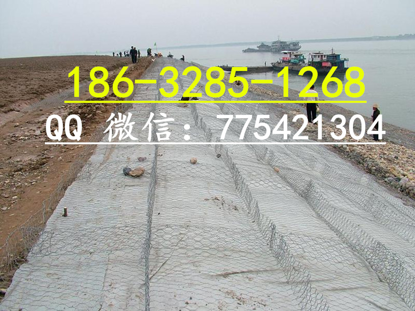 0223505231_副本.jpg