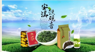 安溪铁观音怎么样？安溪铁观音品牌介绍.png