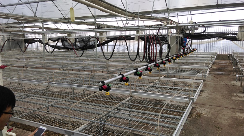 1515215686742962.jpg IMAG0263.jpg