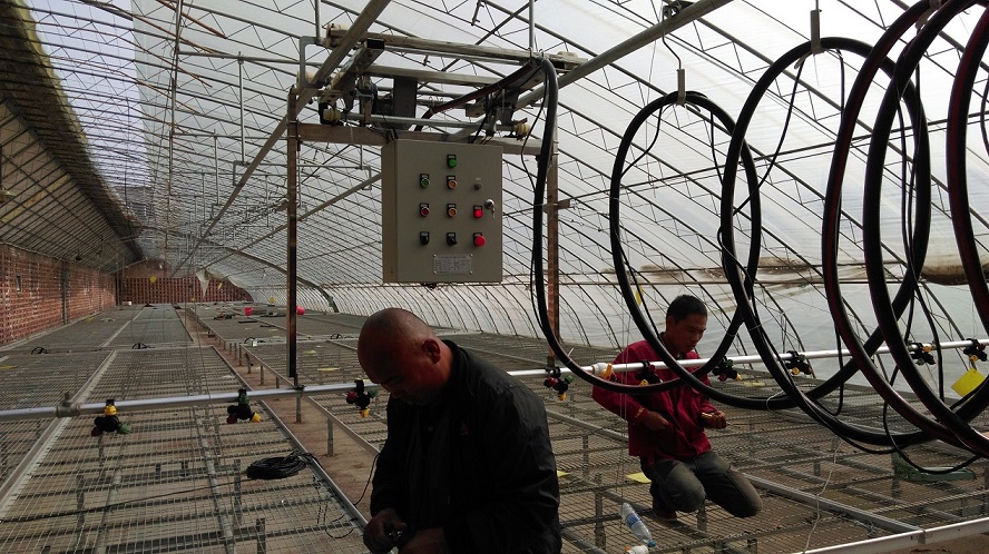 1515215838239498.jpg IMAG0021.jpg