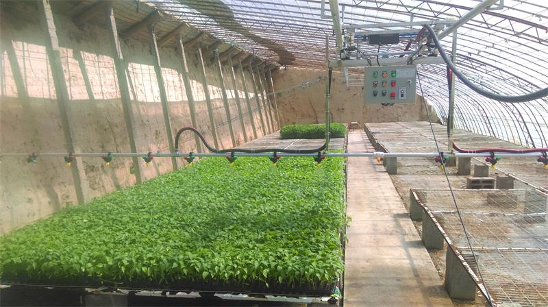 1515215869659954.jpg 银川喷水201510.jpg