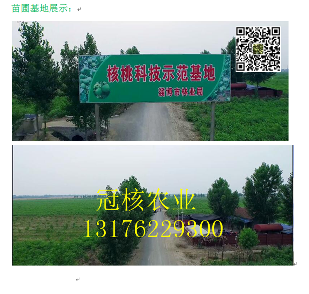 1515654086870125.png