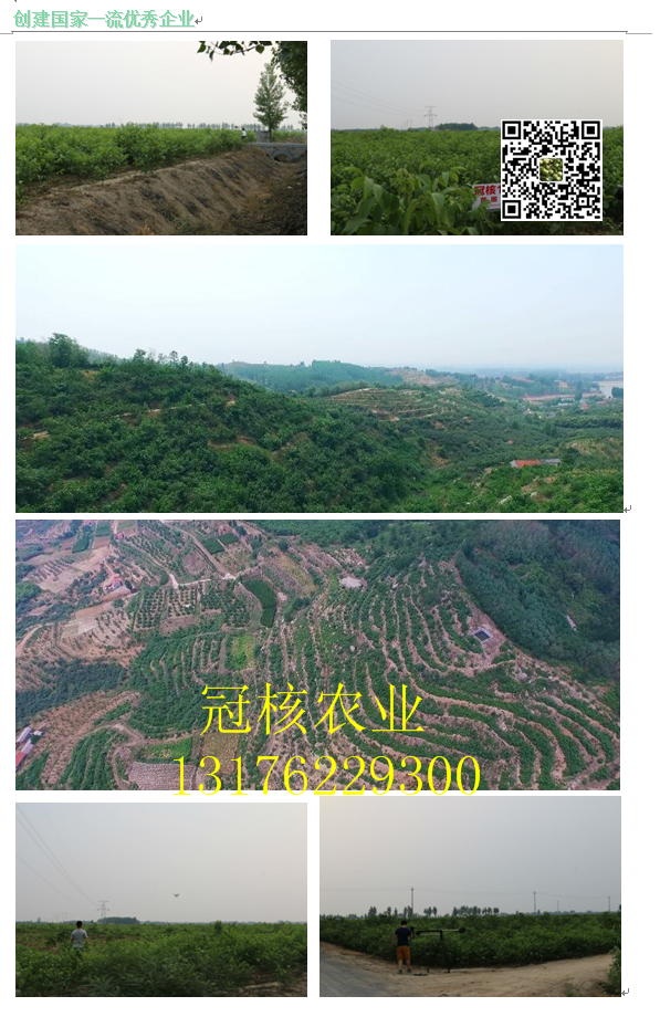 1515654087310324.png