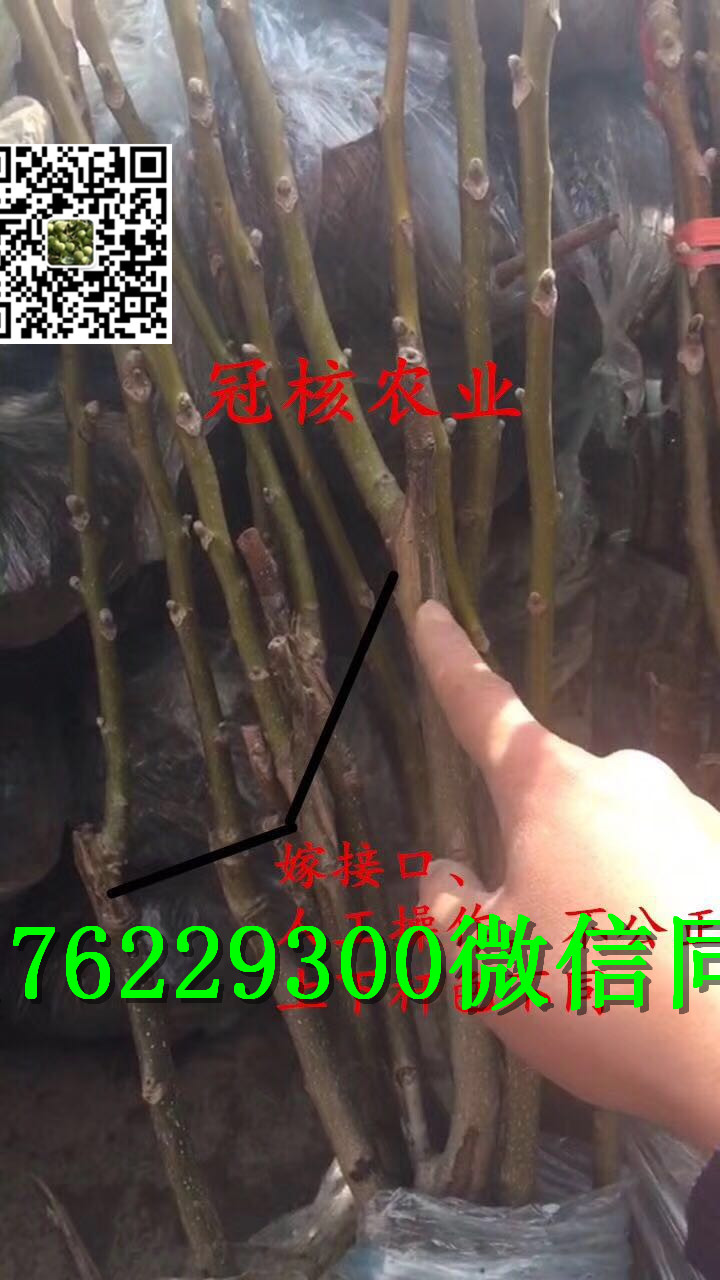 1515654271716745.jpg