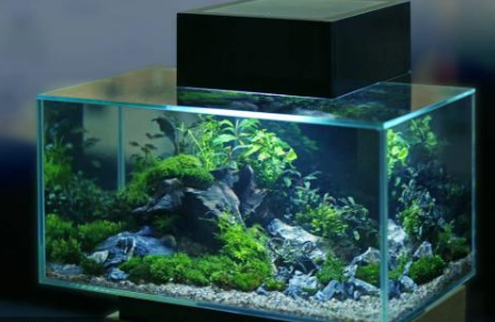 水族箱有哪些牌子？水族箱十大品牌排行榜.png