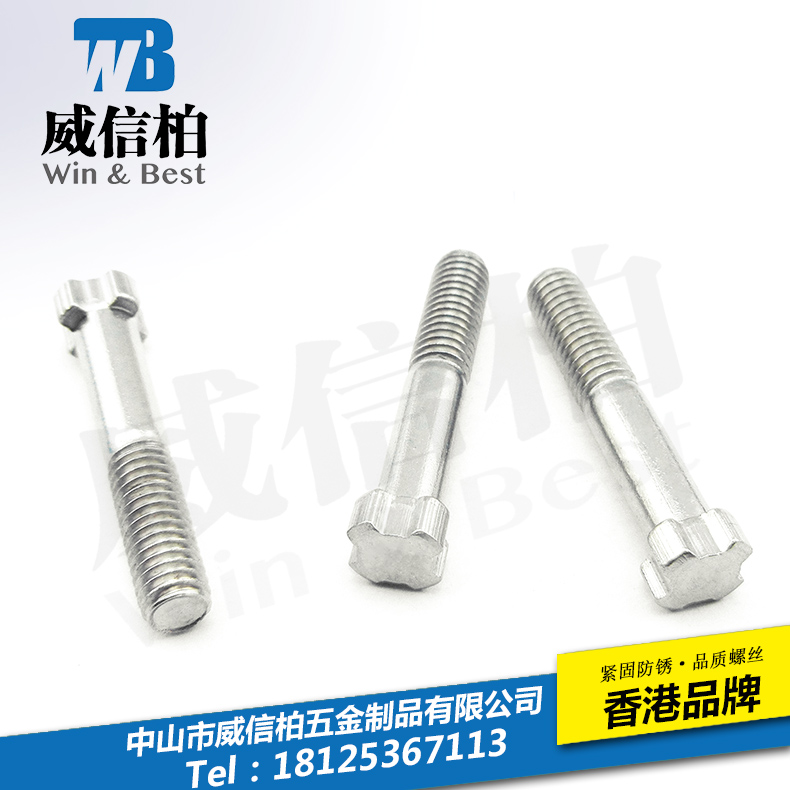 十字防盗螺丝.jpg