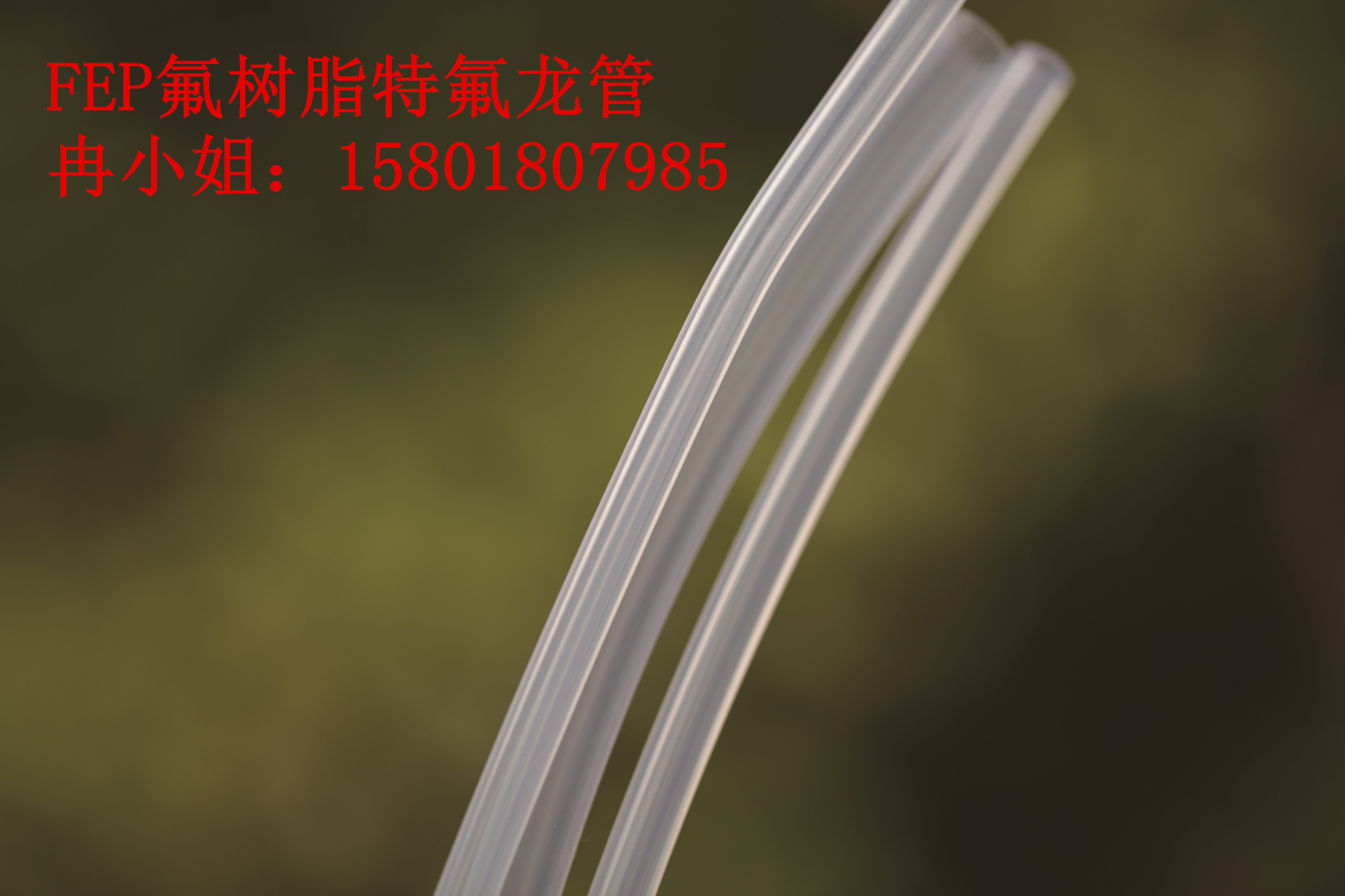 FEP_副本.jpg