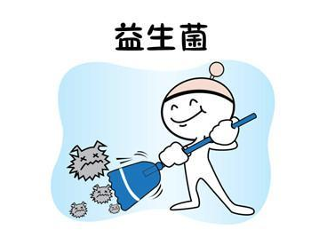 益生菌四大功能介绍 益生菌有什么牌子比较好?.png