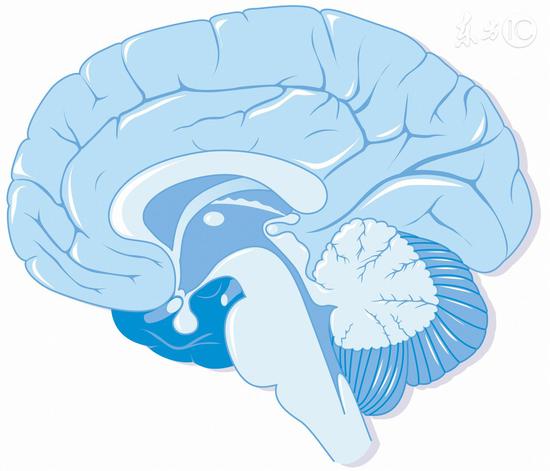 这六个妙招可以让你的大脑寿命提高