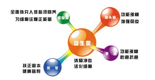 什么是益生菌？益生菌的作用.png