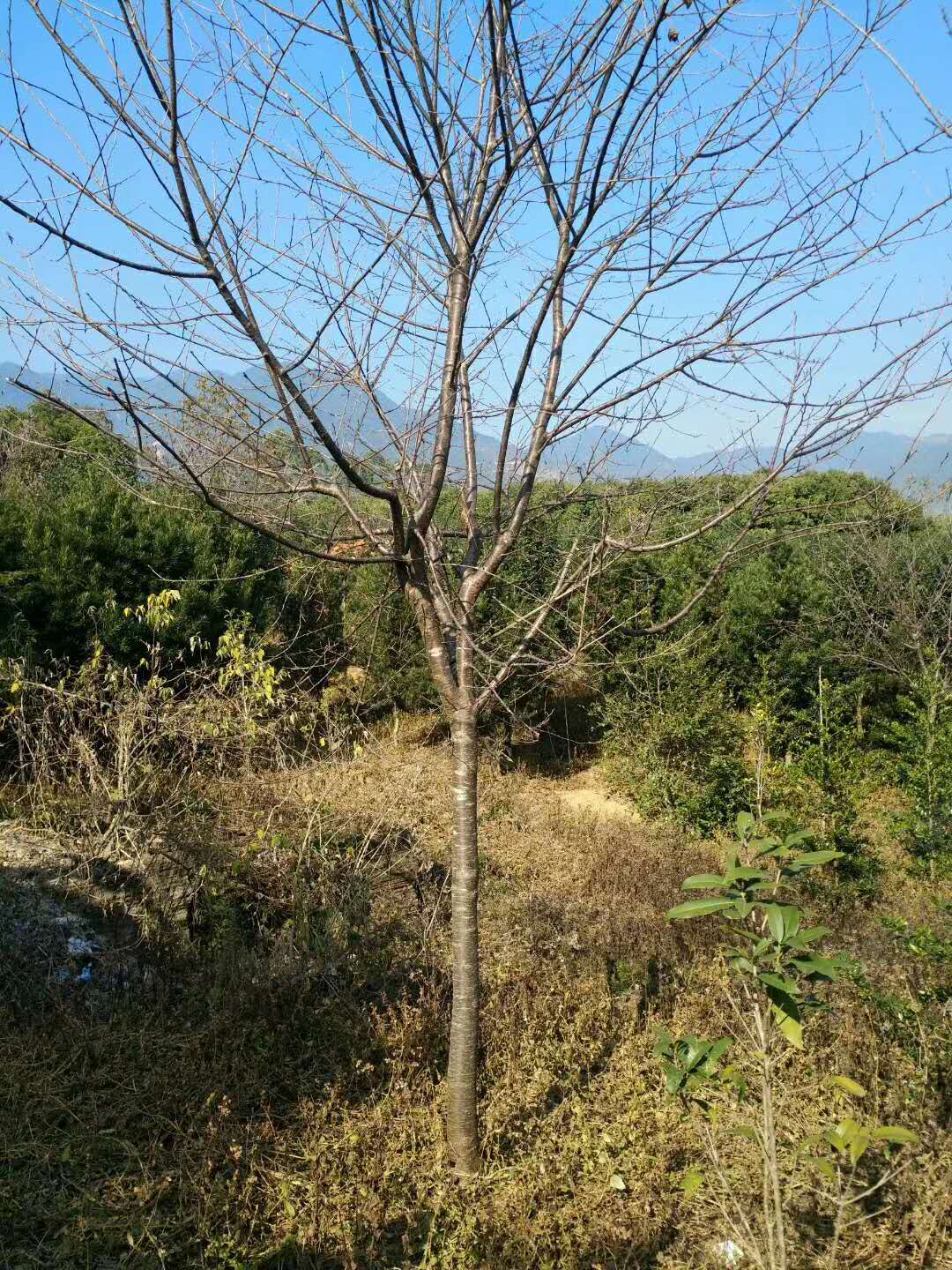 微信图片_20171226151445.jpg