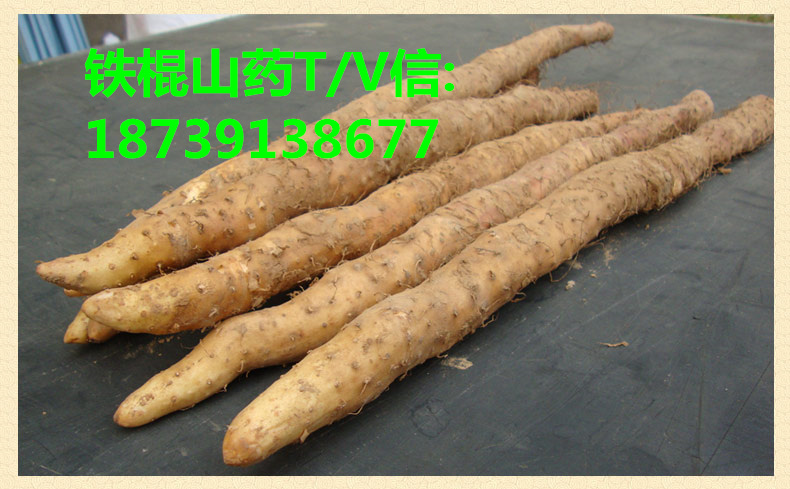 mmexport1514119071567_副本.jpg