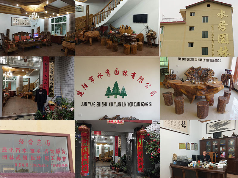 1521601064925776.jpg 未标题-1.jpg