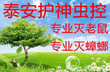 n_v276a4c1eb096d4f0ca6c3c47eb3cf6124.jpg