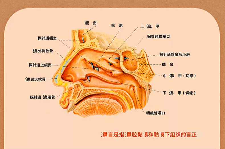 春波行濞无言香膏濞塞流濞涕濞痒濞不通气濞不通畅过敏性濞无言05.jpg