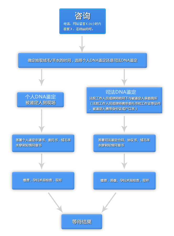 胎儿亲子鉴定