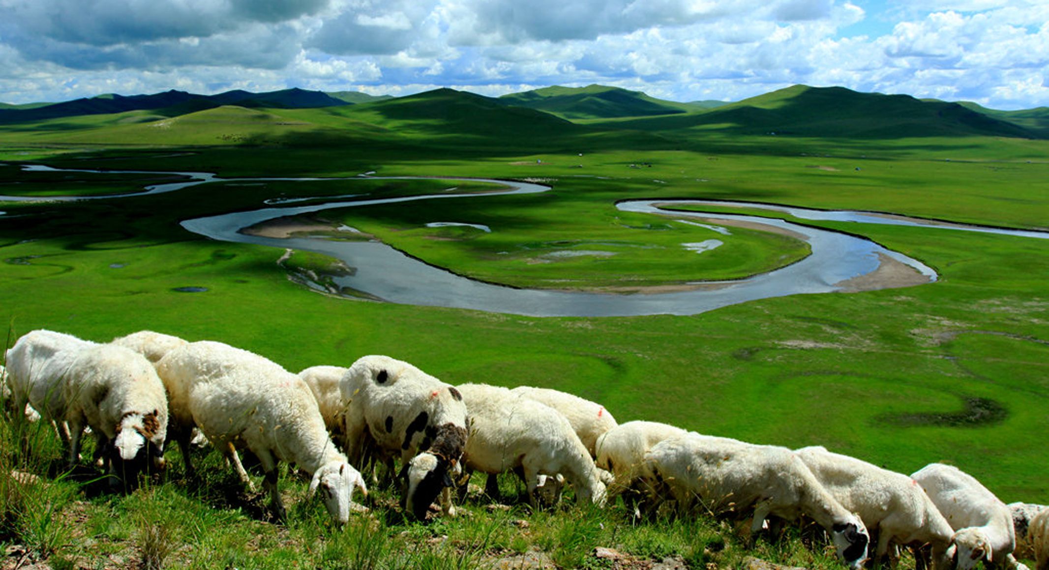 伦贝尔大草原城市SUV越野车深度穿越经典2游