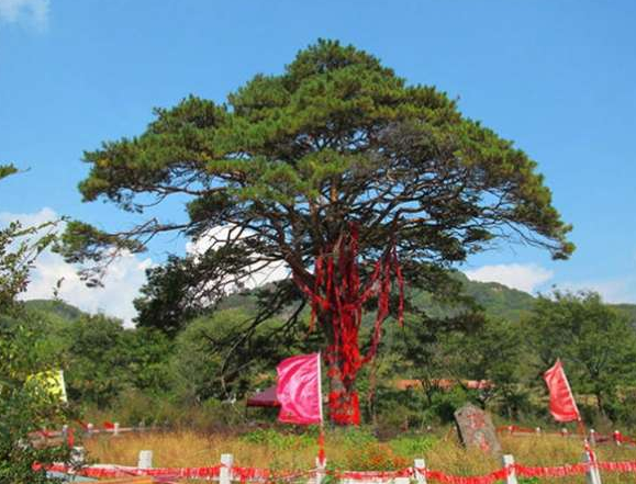 青山沟周边农家院