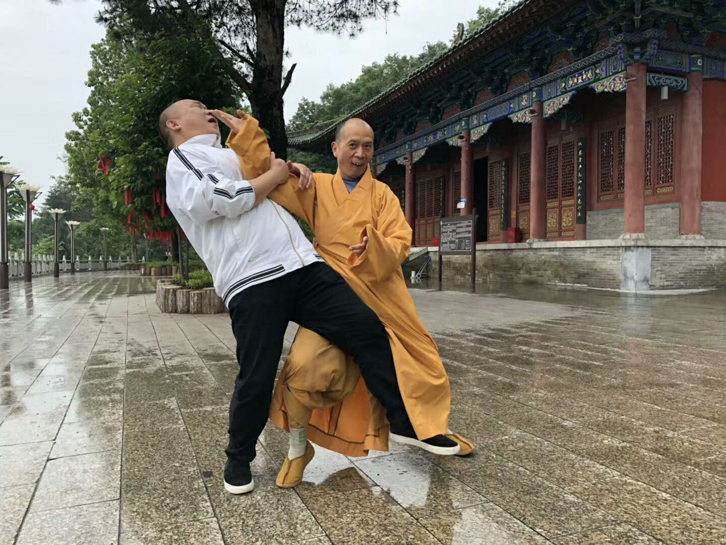 399233202564403025.jpg