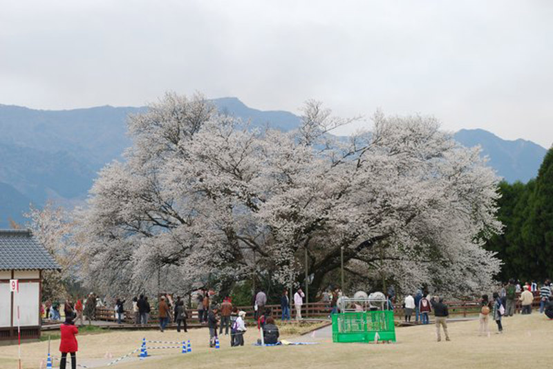 学校周边环境展示