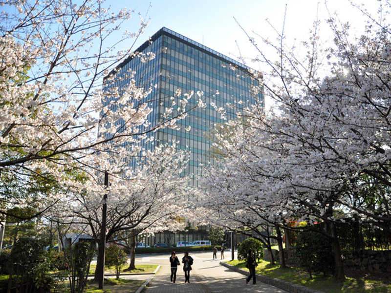 学校周边环境展示