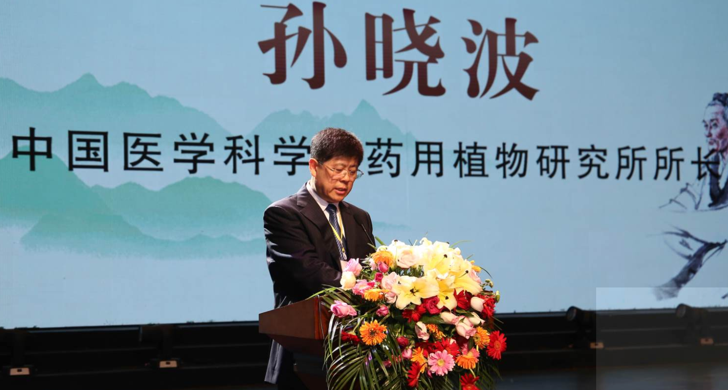第二届中国艾产业发展大会