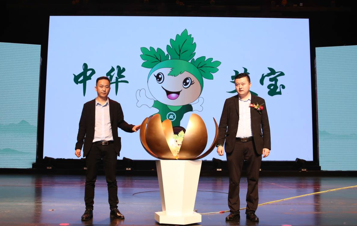 第二届中国艾产业发展大会