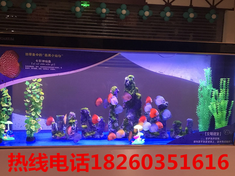 海洋生物展|公司动态-徐州高峰展览服务有限公司