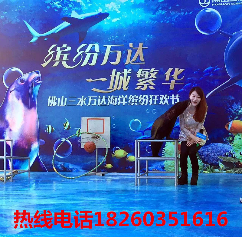 海底世界海洋生物展海狮表演|公司动态-徐州高峰展览服务有限公司