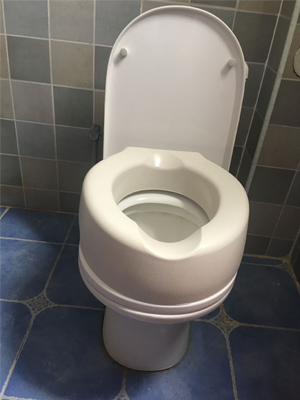 Raised toilet seat