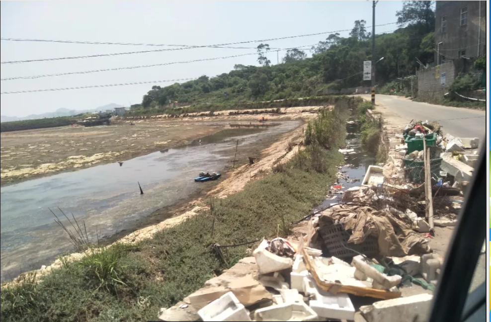 漳浦县昙镇岱嵩岛
