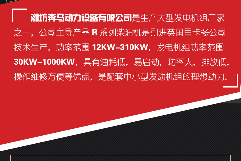 100kw柴油发电机组型号R6105AZLD|奔马动力潍柴系列柴油发电机组-潍坊奔马动力设备有限公司