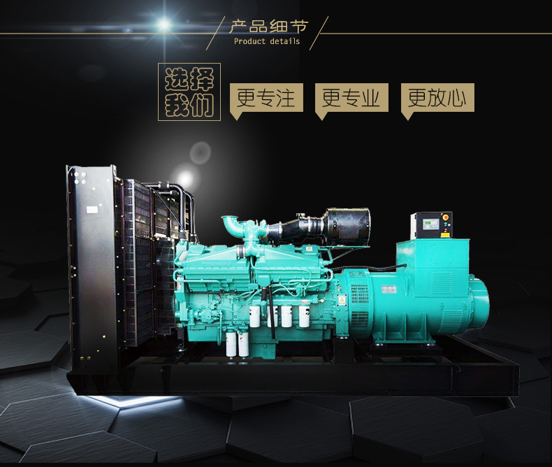 发电机组-06  300kw|奔马动力康明斯系列柴油发电机组-潍坊奔马动力设备有限公司