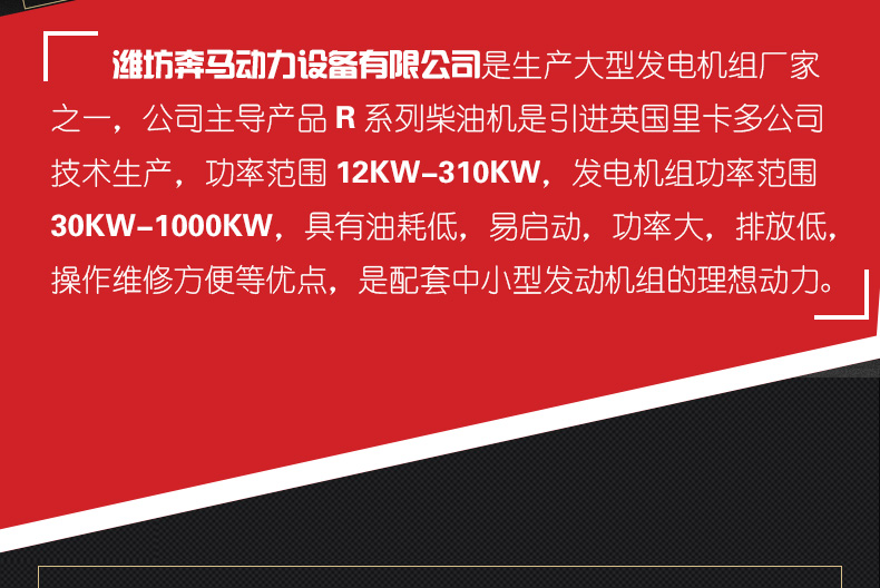 200kw发电机组|奔马动力潍柴系列柴油发电机组-潍坊奔马动力设备有限公司